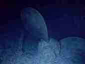 HELICES DE TRES PALAS